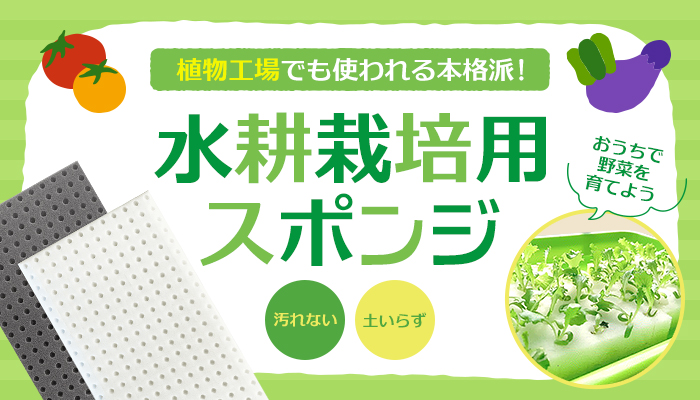 植物工場でも使われる本格派！水耕栽培用スポンジ 汚れない 土いらずおうちで野菜を育てよう