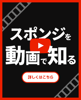 スポンジを動画で知る